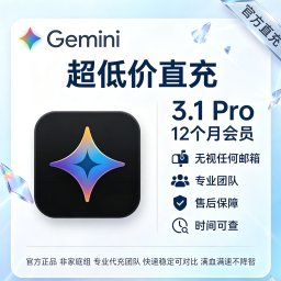 Gemini12个月会员